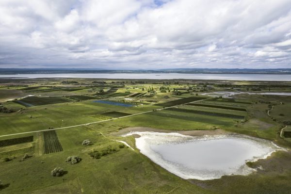 Neusiedlersee DAC heads to London