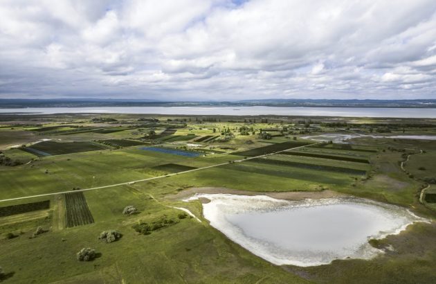 Neusiedlersee DAC heads to London