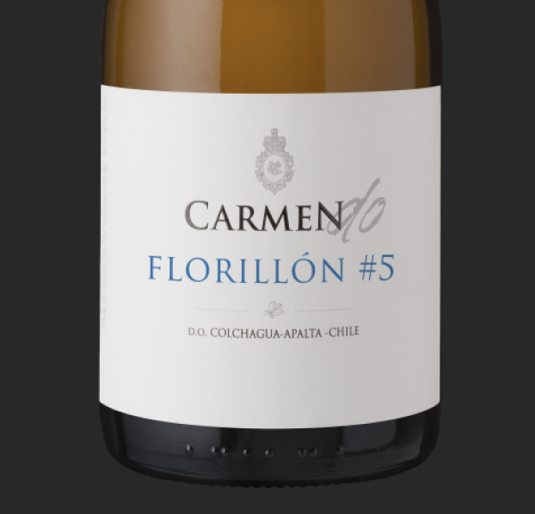 Seven wonderful white wines from Chile