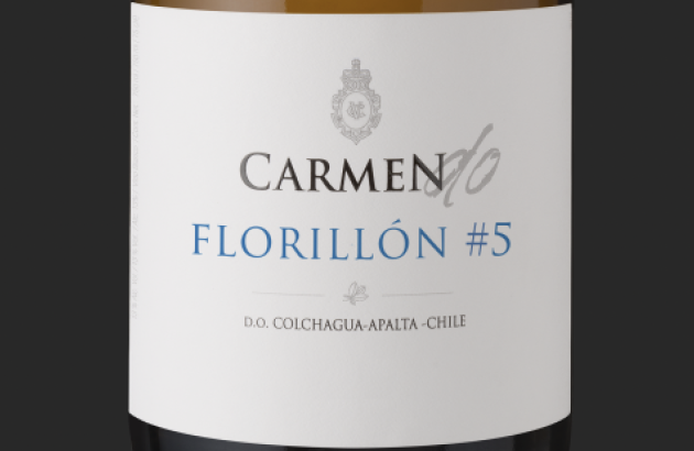 Seven wonderful white wines from Chile
