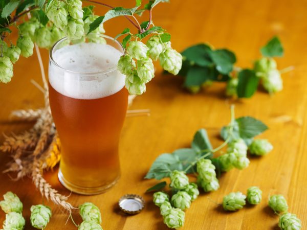 British beer poised to replace ‘aggressive’ New World flavour trends