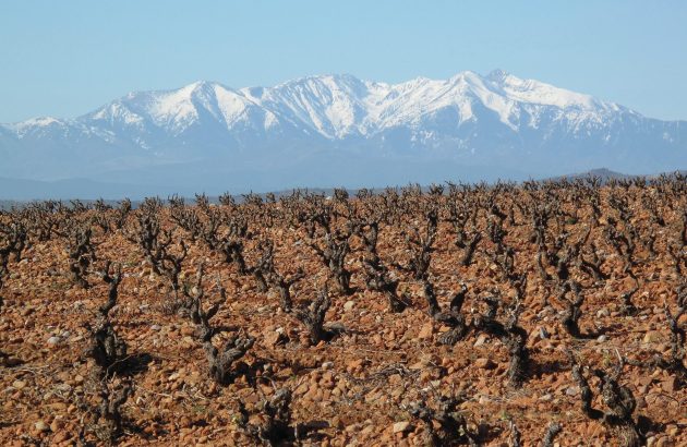 Le Clos des Fées: a shining light for Languedoc-Roussillon