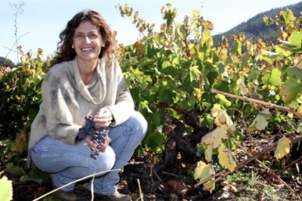 New Carmen winemaker applauds ‘open-minded’ Chilean producer