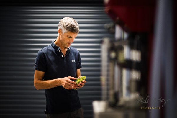 Agility of Loire’s winemakers during stressful year results in ‘remarkable wines’