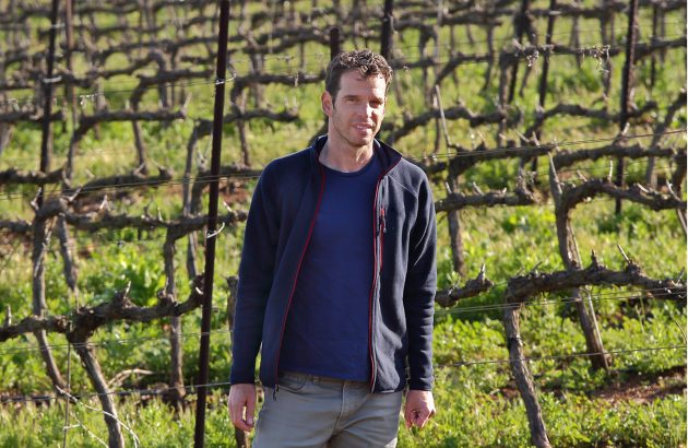 MW reveals horrors wreaked by Hamas on Israeli wine trade