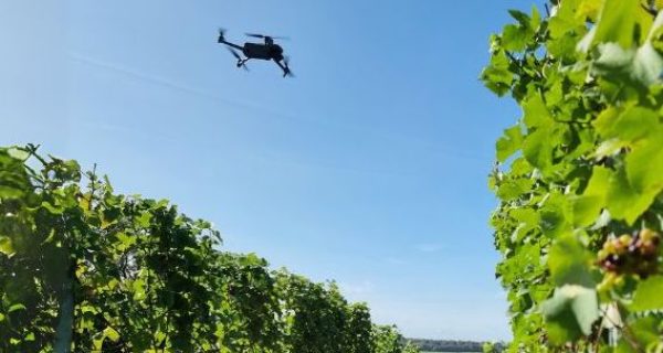 Digital vineyard mapping project aims to revolutionise viticulture