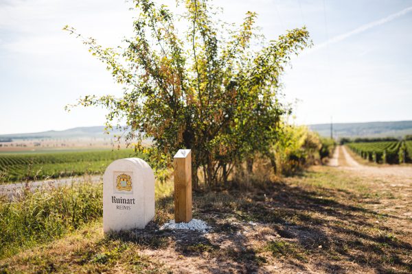 Why Dom Ruinart’s latest release is one to cellar