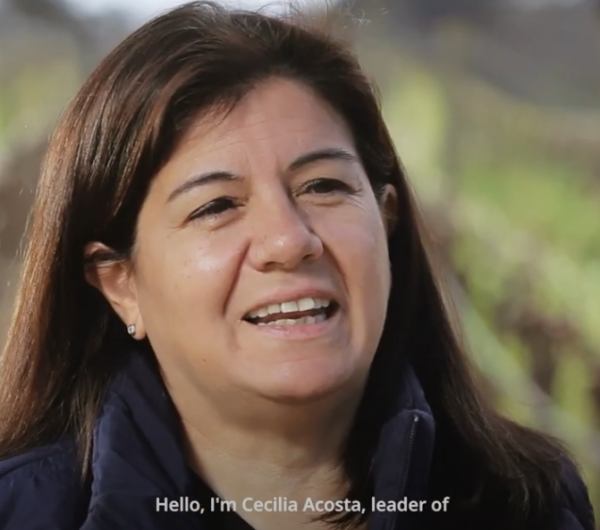 A groundbreaking study of the co-existing residents of a vineyard