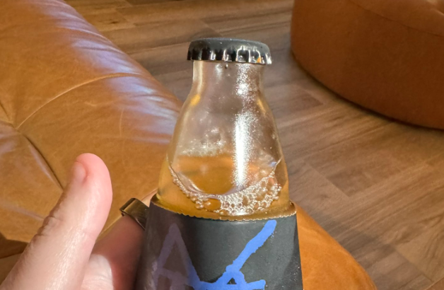 Tesla fan slams Elon Musk’s beer as ‘hot garbage’