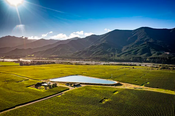 Treasury Wine Estates expands presence in New Zealand