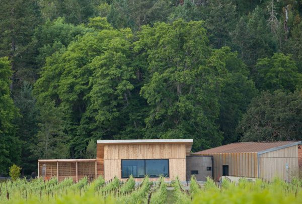 The wineries drastically reducing the industry’s carbon footprint