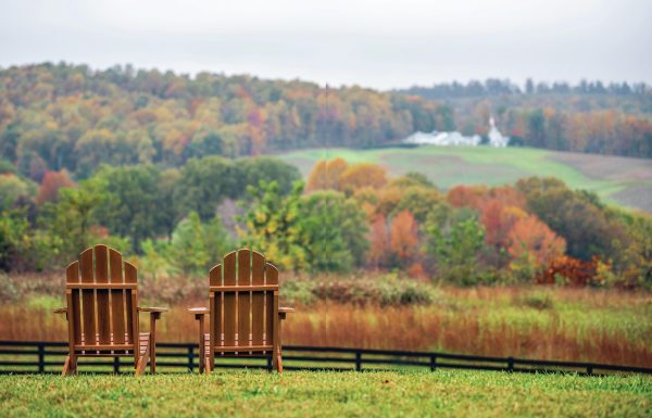 Front row seats: The remarkable rise of Virginia wines