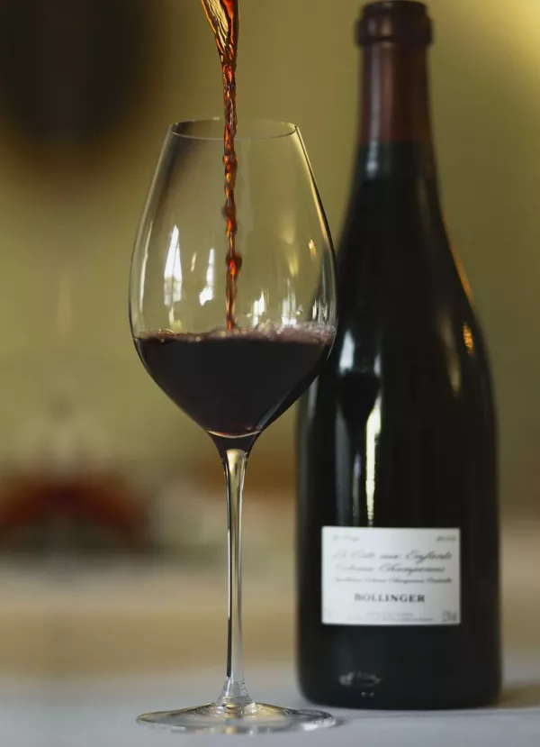 Champagne enters ‘new era’ says Bollinger MD