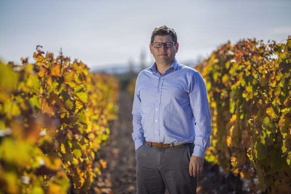 Los Vascos confident of ‘potential for development’ in Hong Kong wine market