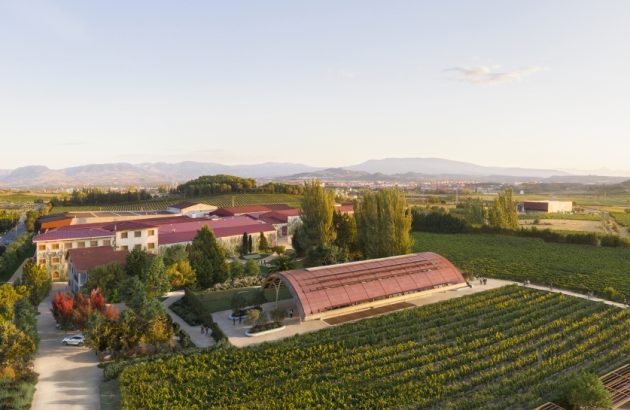 Gold medals justify bold ambitions at Rioja’s Bodegas Faustino