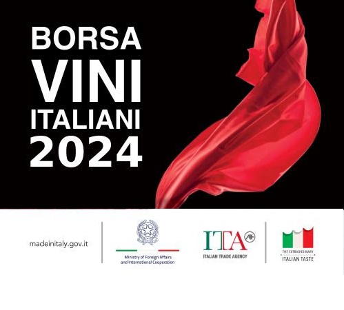 Borsa Vini Dublin 2024