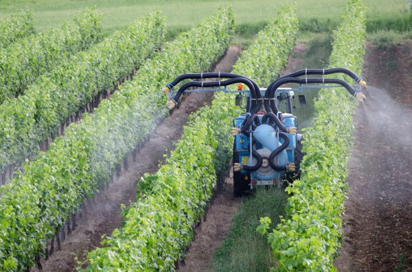 WSTA hits back at ‘sensationalist’ pesticides in wine study