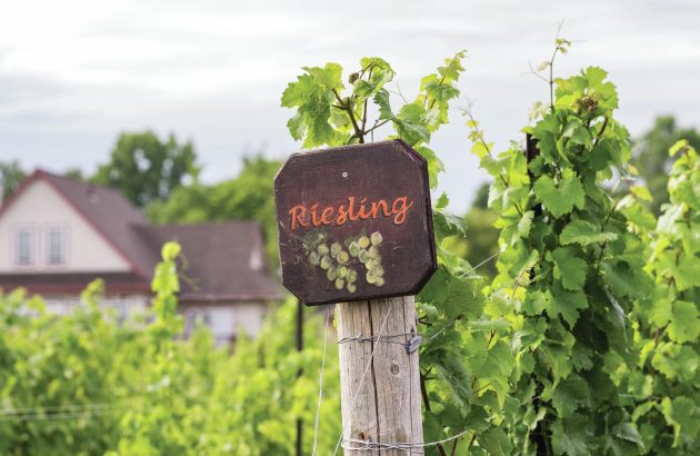 All the medallists from the Global Riesling Masters 2023