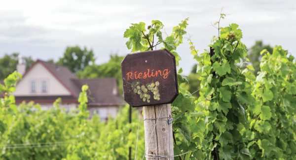 All the medallists from the Global Riesling Masters 2023