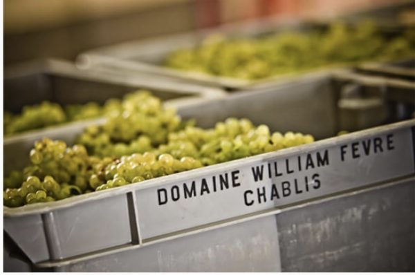 Domaines Barons de Rothschild acquires William Fèvre