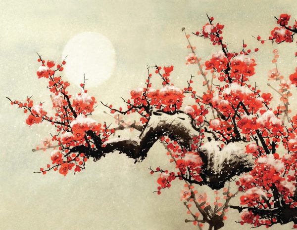 Which Asia market is best for your brand in 2024?