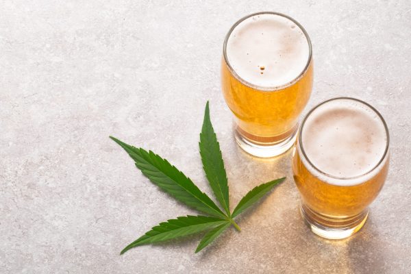 Craft beer boosts Tilray’s revenue as cannabis sales wane