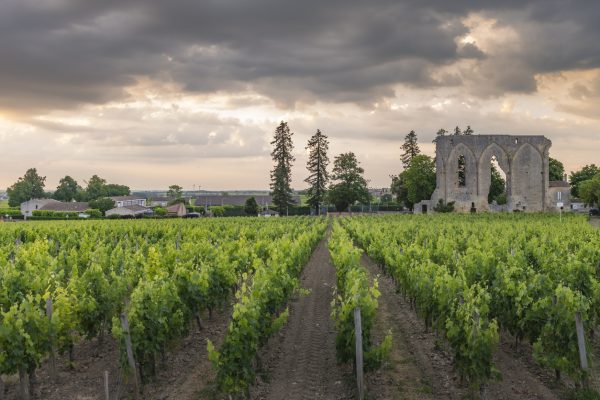 Why is it so hard to find 100% Merlot wines?