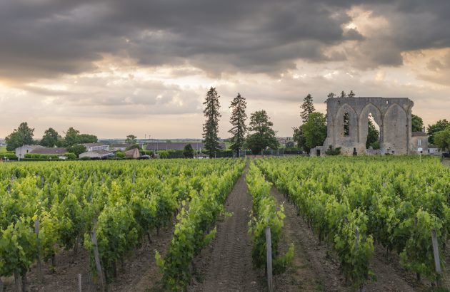 Why is it so hard to find 100% Merlot wines?