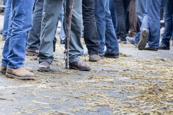Bordeaux vignerons join farmers demonstrations over ‘desperate’ situation