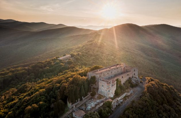 Sassicaia 2021: ‘We stay with our feet on the ground’