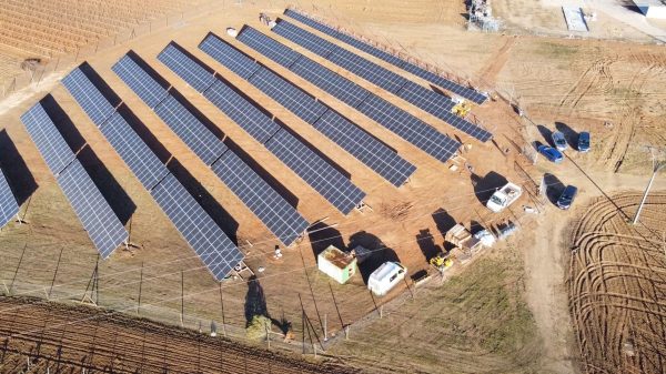 Cuatro Rayas upholds eco-credentials for DO Rueda