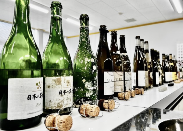 Seafloor wine ageing aims to boost economy in Japan