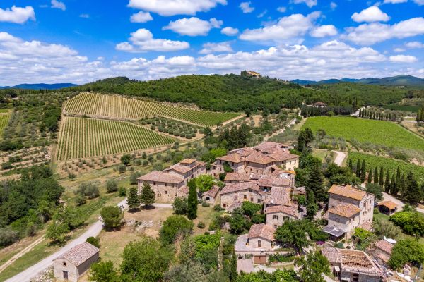 Italian wine exports remain in positive territory