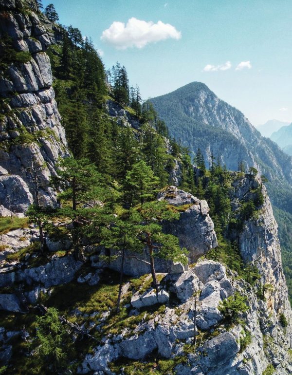 Is Austria set up for fine wine success?