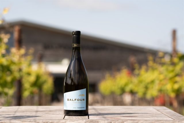 L'Albariño è il prossimo vitigno di punta dell'Inghilterra?