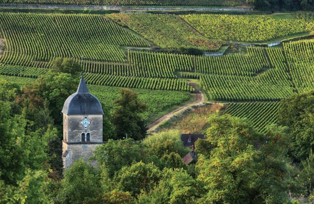 Bouchard Père & Fils withdraws from en primeur