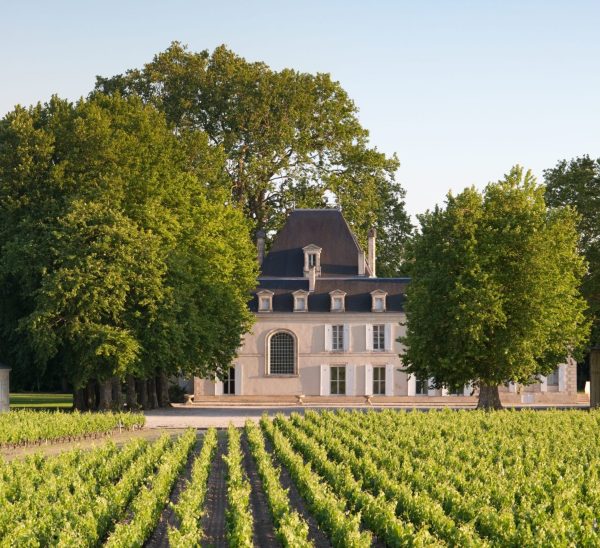 Bordeaux 2024 en primeur: Haut-Médoc, Listrac-Médoc, Médoc, & Moulis-en-Médoc