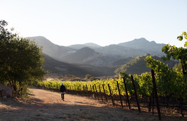 Gallica celebrates ‘moment’ for Cabernet Franc with awards success