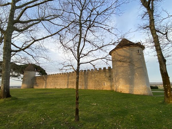 ‘Yquem day’ sees release of fabulously fresh and crystalline 2021 vintage