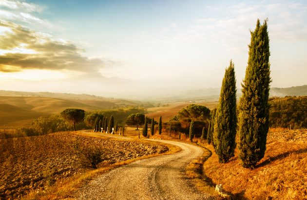 Momentum continues for fine wine market in October