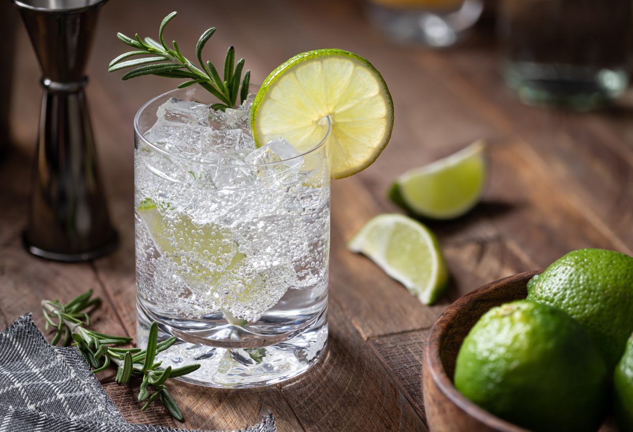 Top 10 craft gin brands from India
