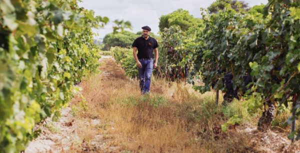 Cruz de Alba takes ‘virtually homoeopathic’ approach