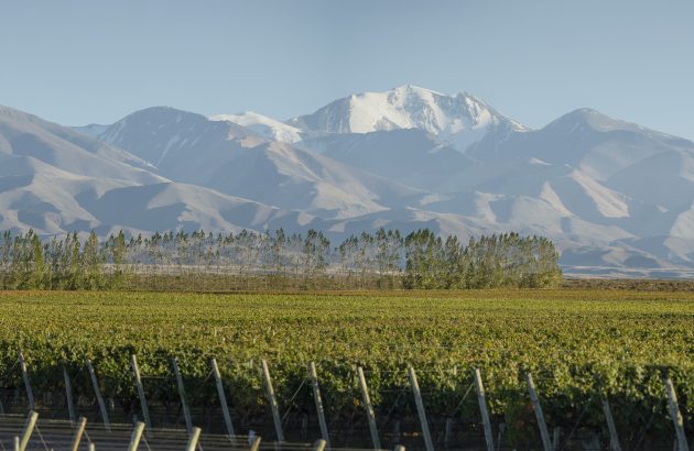 Terrazas de Los Andes’s new Extremo Malbec shows the ‘future of Argentina’s fine wine’