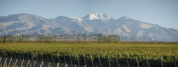 Terrazas de Los Andes’s new Extremo Malbec shows the ‘future of Argentina’s fine wine’