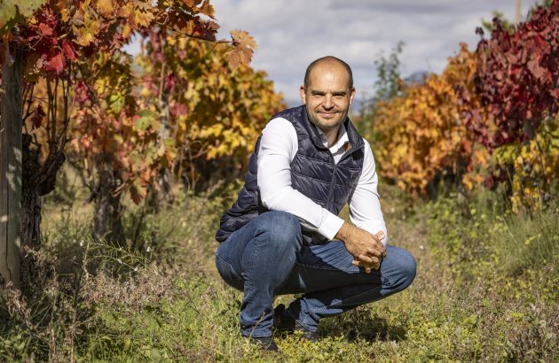 ‘Long-term perspective’ key to Faustino’s success, says winemaker