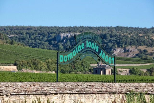Village Burgundy could be a 'gateway' to new wine consumers in China