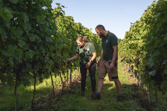 El viñedo de Kent lucha contra la oposición a las catas de vino cerca del cementerio