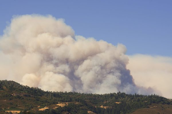 Has Napa recovered from its wildfires?