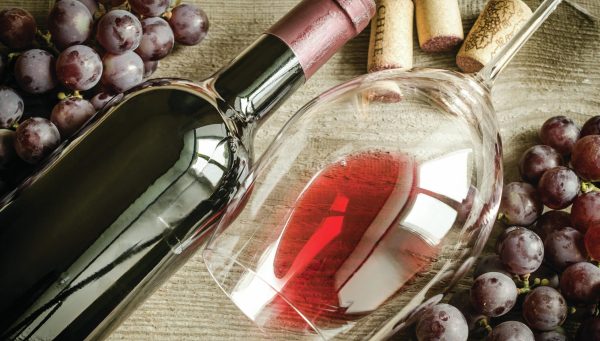 Six delicious Pinot Noirs from Chile