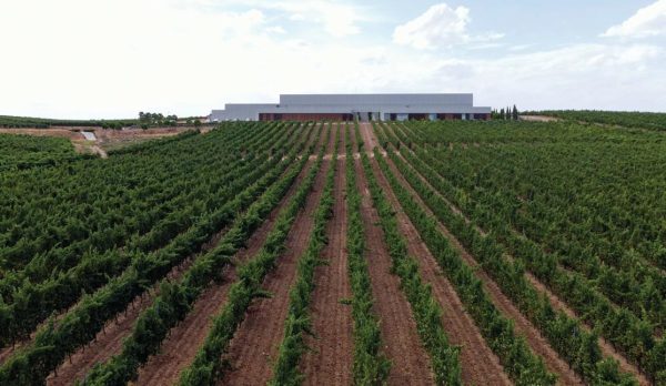 Ramón Bilbao helps people grow a deeper understanding of Rueda